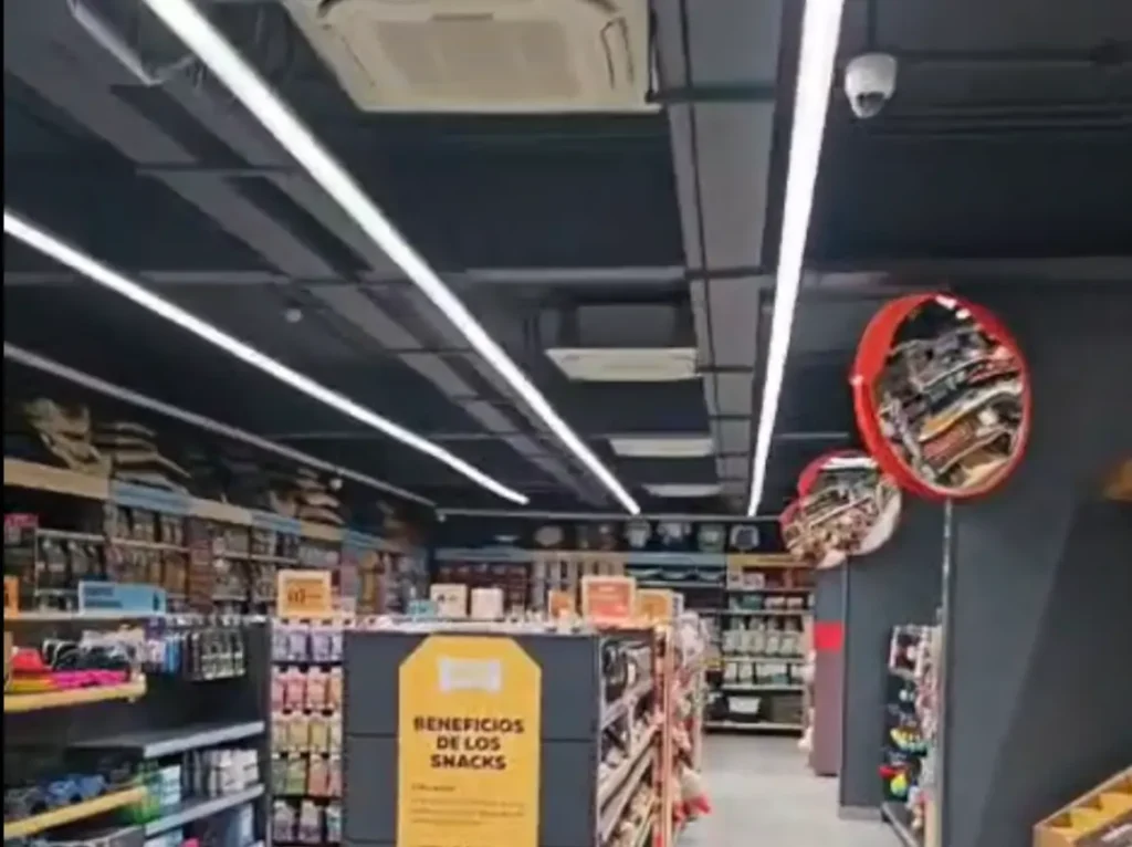 Iluminación LED y señalética interior tienda SuperZoo Colón constructora DAC & JF
