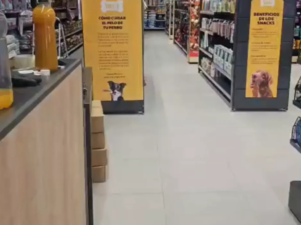 Pasillo central tienda SuperZoo Colón con pisos y mobiliario instalado