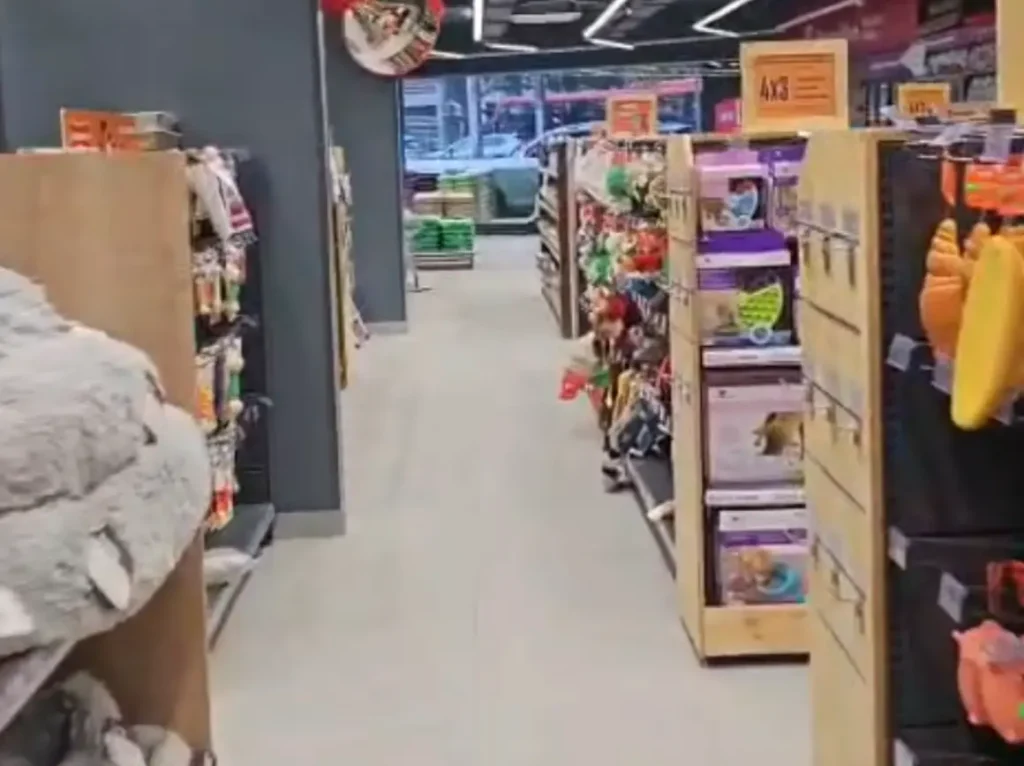 Zona de exhibición productos tienda SuperZoo Colón con mobiliario a medida